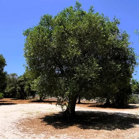 Trullo Med Ostuni * Carovigno